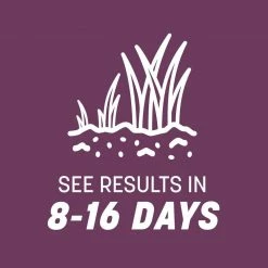 Pennington The Rebels 7 lbs. Shady Lawn Grass Seed Mix -Everbilt Sales Store pennington grass seed 100543726 66 1000