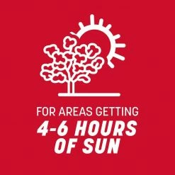 Pennington The Rebels 3 lbs. Tall Fescue Grass Seed Blend -Everbilt Sales Store pennington grass seed 100543728 1d 1000