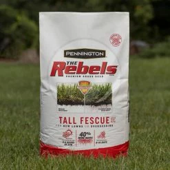 Pennington The Rebels 3 lbs. Tall Fescue Grass Seed Blend -Everbilt Sales Store pennington grass seed 100543728 fa 1000