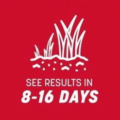 Pennington The Rebels 7 lbs. Tall Fescue Grass Seed Blend -Everbilt Sales Store pennington grass seed 100543729 66 1000