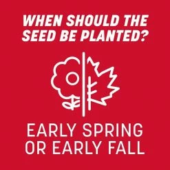 Pennington The Rebels 40 lbs. Tall Fescue Grass Seed Blend -Everbilt Sales Store pennington grass seed 100543731 1f 1000