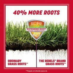 Pennington The Rebels 40 lbs. Tall Fescue Grass Seed Blend -Everbilt Sales Store pennington grass seed 100543731 40 1000