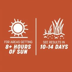 Pennington Smart Seed 1.75 lbs. Bermuda Grass Seed and Fertilizer -Everbilt Sales Store pennington grass seed 100543734 77 1000