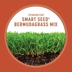 Pennington Smart Seed 8.75 lbs. Bermuda Grass Seed and Fertilizer -Everbilt Sales Store pennington grass seed 100543735 40 1000