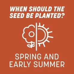 Pennington Smart Seed 8.75 lbs. Bermuda Grass Seed and Fertilizer -Everbilt Sales Store pennington grass seed 100543735 44 1000