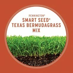 Pennington Smart Seed 1.75 lbs. Texas Bermudagrass Grass Seed and Fertilizer 16 Pennington Smart Seed 1.75 lbs. Texas Bermudagrass Grass Seed and Fertilizer -Everbilt Sales Store pennington grass seed 100543736 40 1000