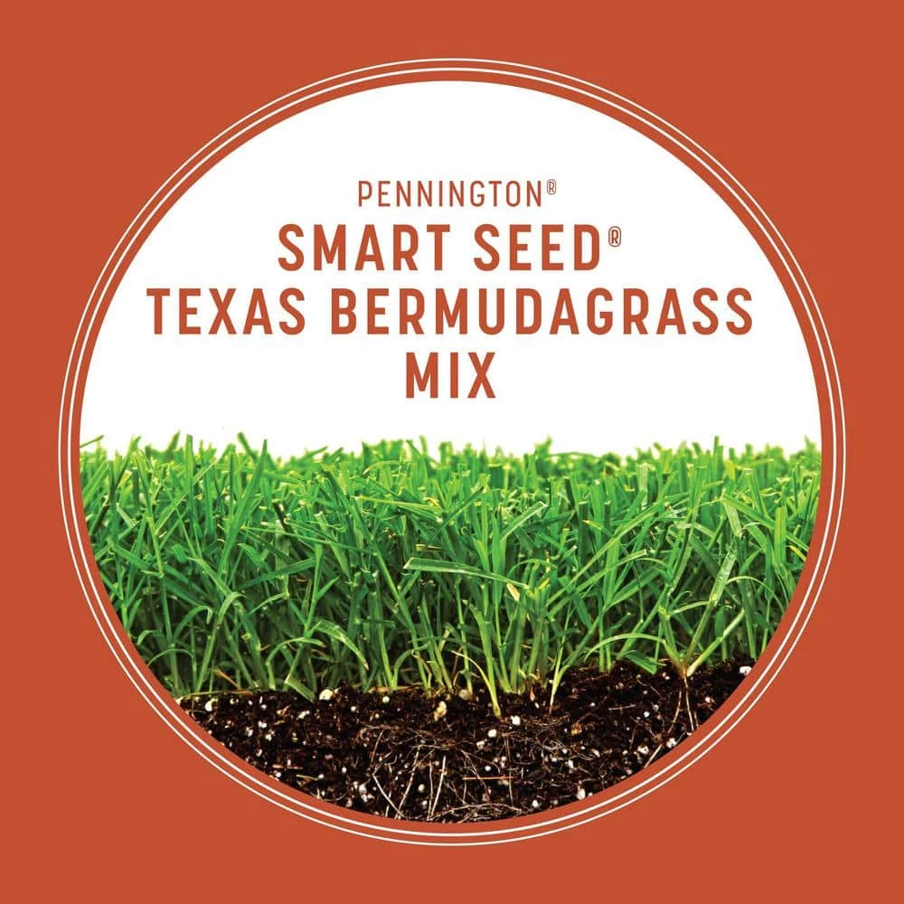 Pennington Smart Seed 1.75 lbs. Texas Bermudagrass Grass Seed and Fertilizer 3 Pennington Smart Seed 1.75 lbs. Texas Bermudagrass Grass Seed and Fertilizer - Image 3