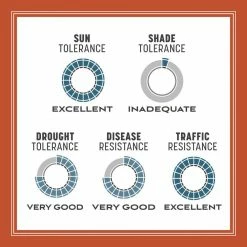 Pennington Smart Seed 1.75 lbs. Texas Bermudagrass Grass Seed and Fertilizer 19 Pennington Smart Seed 1.75 lbs. Texas Bermudagrass Grass Seed and Fertilizer -Everbilt Sales Store pennington grass seed 100543736 66 1000