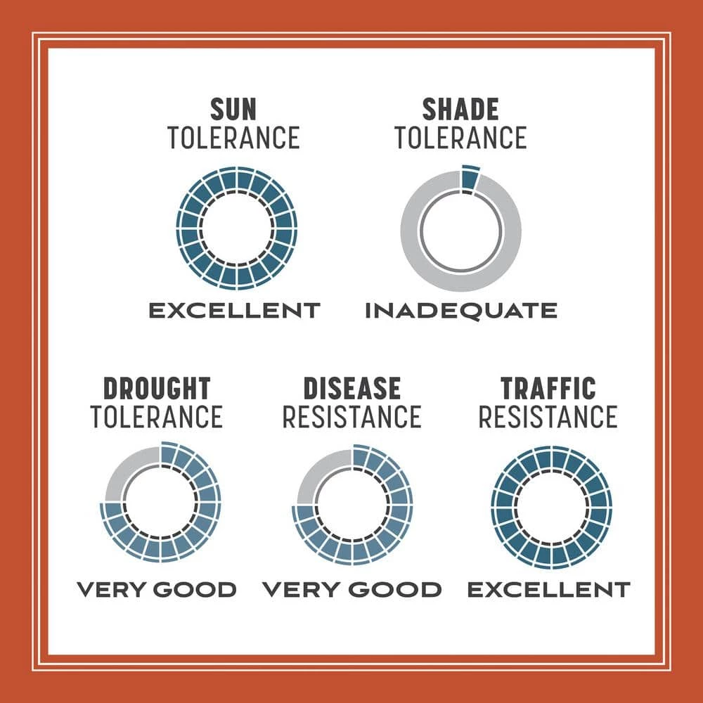 Pennington Smart Seed 1.75 lbs. Texas Bermudagrass Grass Seed and Fertilizer 6 Pennington Smart Seed 1.75 lbs. Texas Bermudagrass Grass Seed and Fertilizer - Image 6