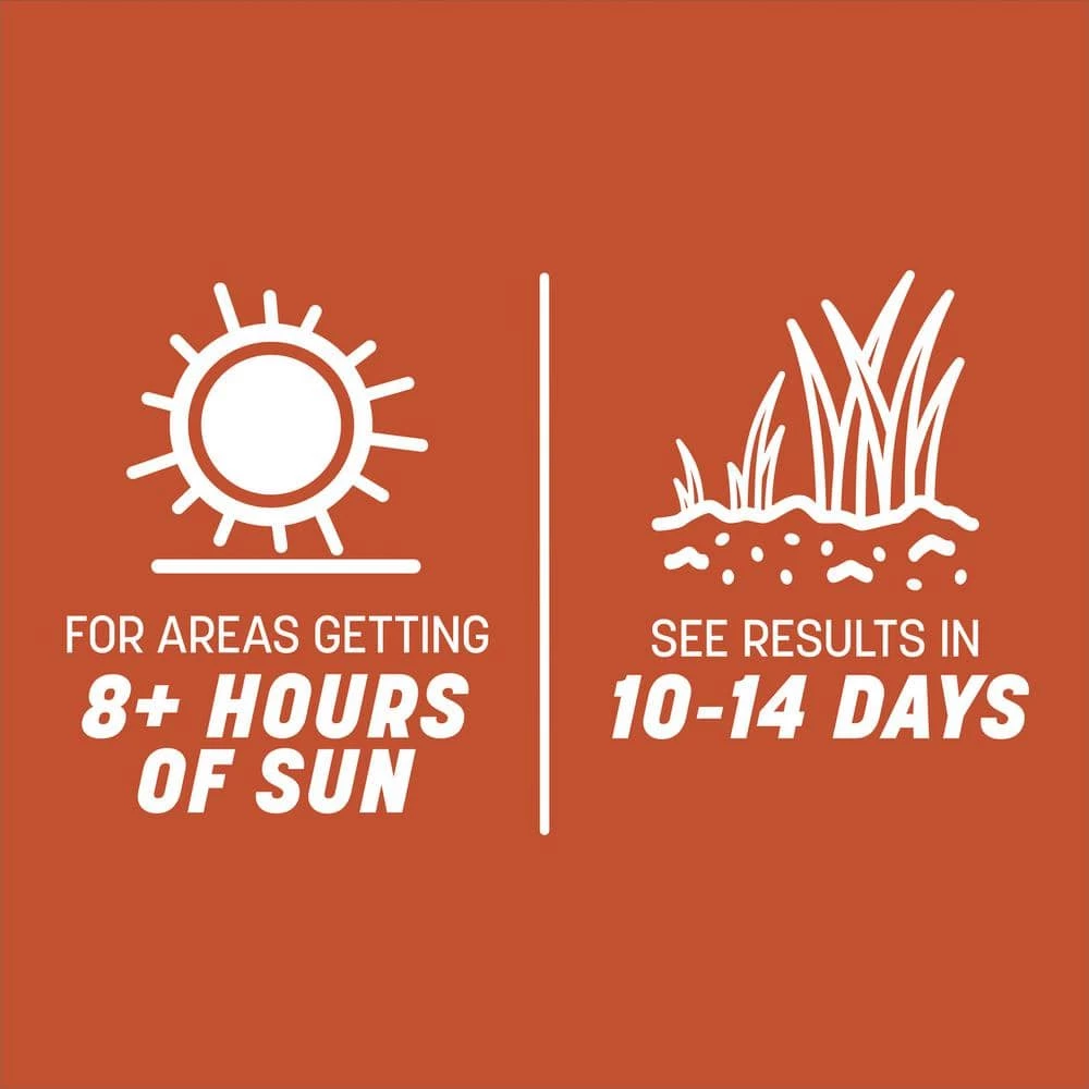 Pennington Smart Seed 1.75 lbs. Texas Bermudagrass Grass Seed and Fertilizer 7 Pennington Smart Seed 1.75 lbs. Texas Bermudagrass Grass Seed and Fertilizer - Image 7