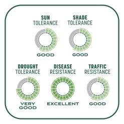 Pennington 10 lbs. Smart Patch Sun and Shade North Grass Seed with Mulch, Fertilizer -Everbilt Sales Store pennington grass seed 100545664 4f 1000