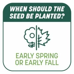 Pennington 10 lbs. Smart Patch Sun and Shade North Grass Seed with Mulch, Fertilizer -Everbilt Sales Store pennington grass seed 100545664 c3 1000