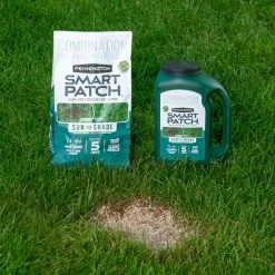 Pennington 10 lbs. Smart Patch Sun and Shade North Grass Seed with Mulch, Fertilizer -Everbilt Sales Store pennington grass seed 100545664 fa 1000