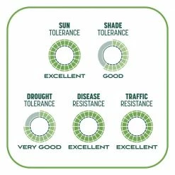 Pennington 10 lbs. Smart Patch Tall Fescue Grass Seed with Mulch, Fertilizer -Everbilt Sales Store pennington grass seed 100545665 4f 1000