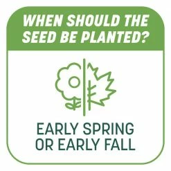 Pennington 10 lbs. Smart Patch Tall Fescue Grass Seed with Mulch, Fertilizer -Everbilt Sales Store pennington grass seed 100545665 c3 1000