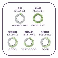 Pennington 10 lbs. Smart Patch Dense Shade Grass Seed with Mulch, Fertilizer -Everbilt Sales Store pennington grass seed 100545666 4f 1000