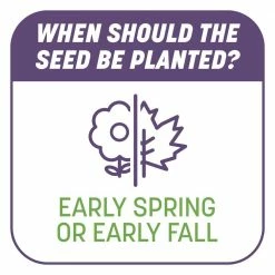 Pennington 10 lbs. Smart Patch Dense Shade Grass Seed with Mulch, Fertilizer -Everbilt Sales Store pennington grass seed 100545666 c3 1000