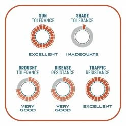 Pennington 10 lbs. Smart Patch Bermuda Grass Seed with Mulch, Fertilizer -Everbilt Sales Store pennington grass seed 100545667 4f 1000