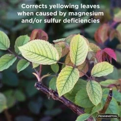 Pennington 7 lbs. Espom Salt for Plants -Everbilt Sales Store pennington grow media 397606 1f 1000