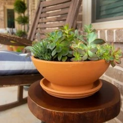 Pennington 9.5 in. Terra Cotta Clay Saucer -Everbilt Sales Store pennington planter saucers 100043041 4f 1000