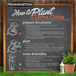 Pennington 9.5 in. Terra Cotta Clay Saucer -Everbilt Sales Store pennington planter saucers 100043041 66 1000