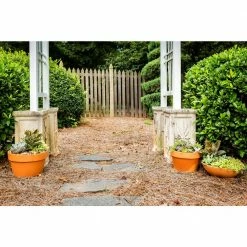 Pennington 12 in. Terra Cotta Clay Dish Garden Planter -Everbilt Sales Store terra cotta pennington plant pots 100021298 4f 1000