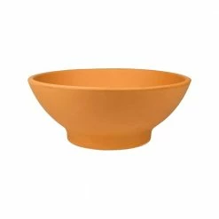 Pennington 12 in. Terra Cotta Clay Dish Garden Planter