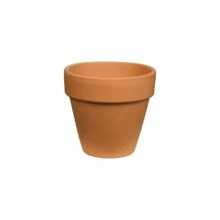 Pennington 4.25 in. Terra Cotta Clay Pot