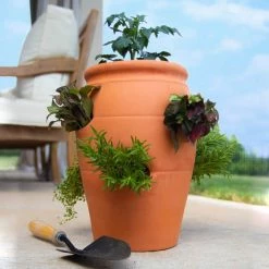 Pennington 2 Gal. 6 Pocket Terra Cotta Strawberry Pot -Everbilt Sales Store terra cotta pennington plant pots 100043142 44 1000