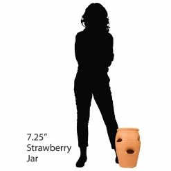 Pennington 2 Gal. 6 Pocket Terra Cotta Strawberry Pot -Everbilt Sales Store terra cotta pennington plant pots 100043142 4f 1000