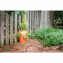 Pennington 2 Gal. 6 Pocket Terra Cotta Strawberry Pot -Everbilt Sales Store terra cotta pennington plant pots 100043142 c3 1000