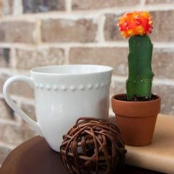 Pennington 2 in. Mini Terra Cotta Pot -Everbilt Sales Store terra cotta pennington plant pots 100506840 4f 1000