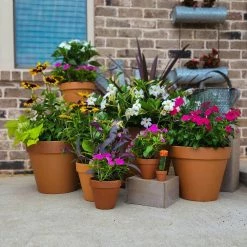 Pennington 2 in. Mini Terra Cotta Pot -Everbilt Sales Store terra cotta pennington plant pots 100506840 fa 1000