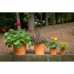 Pennington 7.5 in. Cabo Flair Terra Cotta Clay Pot -Everbilt Sales Store terra cotta pennington plant pots 100523387 c3 1000