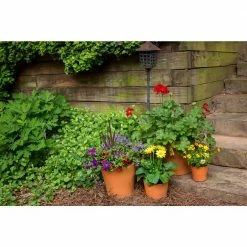 Everbilt Sales Store -Everbilt Sales Store terra cotta pennington plant pots 100523387 e1 1000