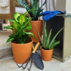 Pennington 7.5 in. Cabo Flair Terra Cotta Clay Pot -Everbilt Sales Store terra cotta pennington plant pots 100523387 fa 1000