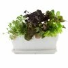 Pennington 12.008 in. x 12.008 in. White Ceramic Window Box