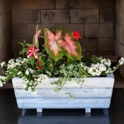 Devault Enterprises 21 in. W X 8 in. H Whitewash Wooden Planter -Everbilt Sales Store whitewash devault enterprises plant pots devbp300 31 1000