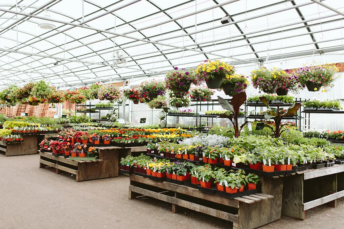 Everbilt Sales Store -Everbilt Sales Store 0